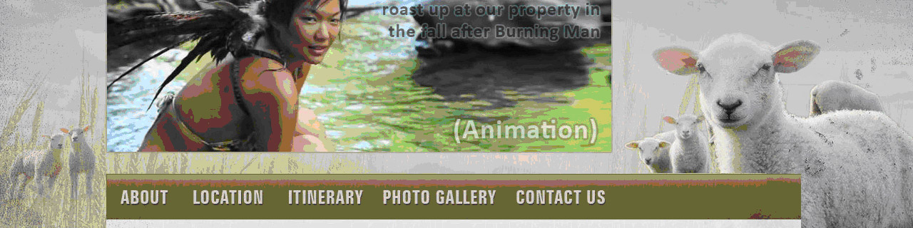 Portfolio Image